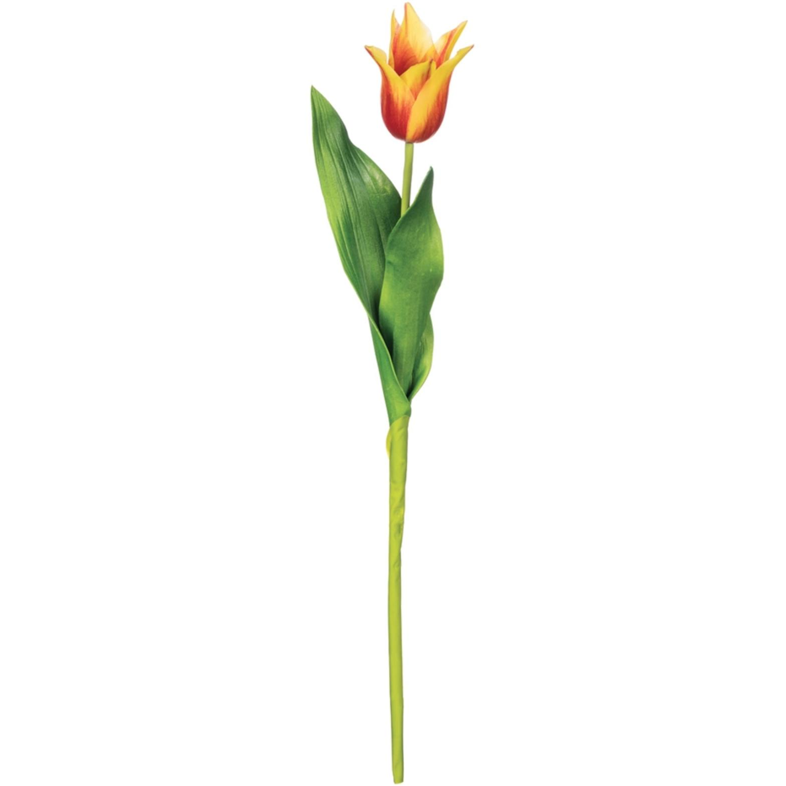 Tulip Stem - Zinnias Gift Boutique