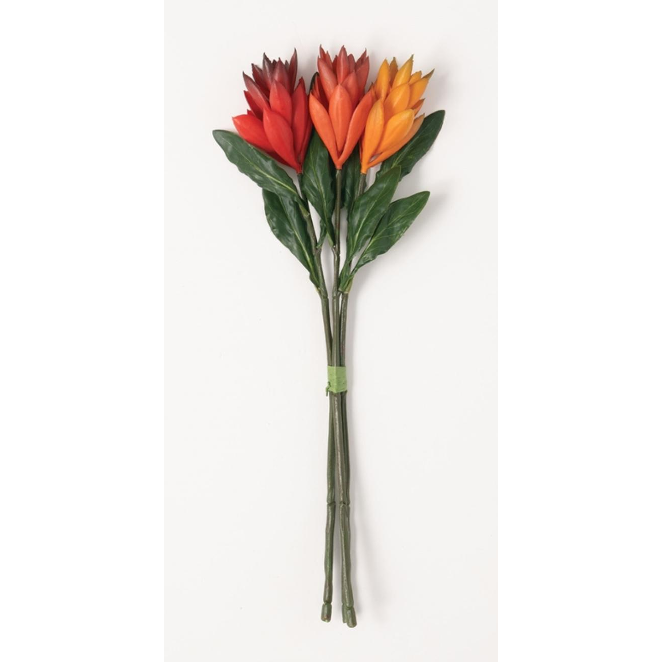 Ginger Bundle - Zinnias Gift Boutique