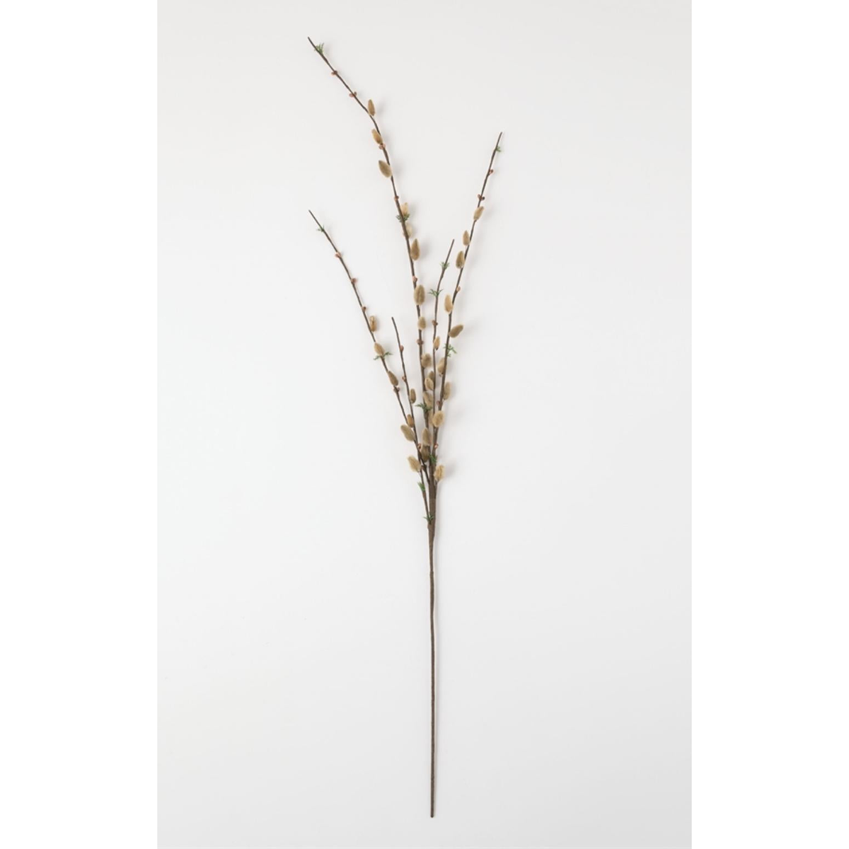 Pussywillow Sprig - Zinnias Gift Boutique
