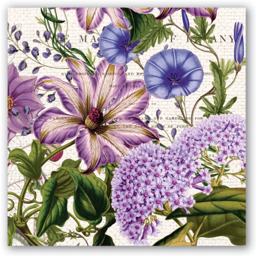 Rhapsody Napkins - Zinnias Gift Boutique