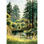 Reflections of Redwoods - Zinnias Gift Boutique