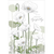 White Poppy Sympathy - Zinnias Gift Boutique