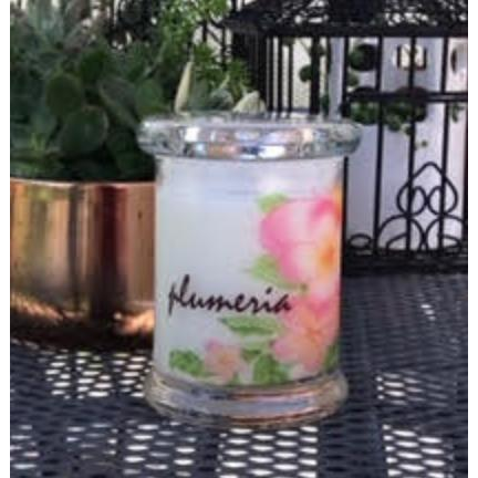 Plumeria Candle - Zinnias Gift Boutique