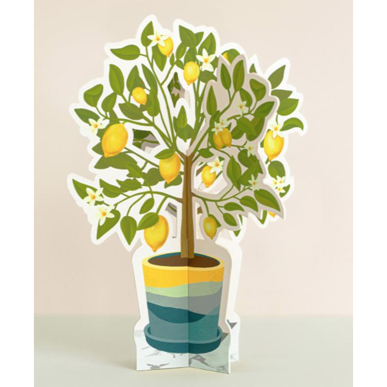 Lemon Tree Card - Zinnias Gift Boutique
