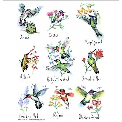 Hummingbirds Towel - Zinnias Gift Boutique