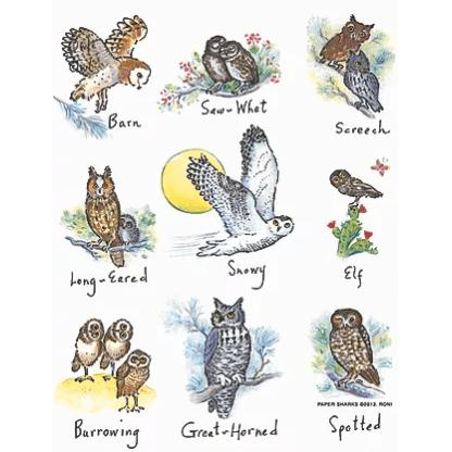 Owls Towel - Zinnias Gift Boutique