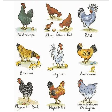 Mother Hen Towel - Zinnias Gift Boutique