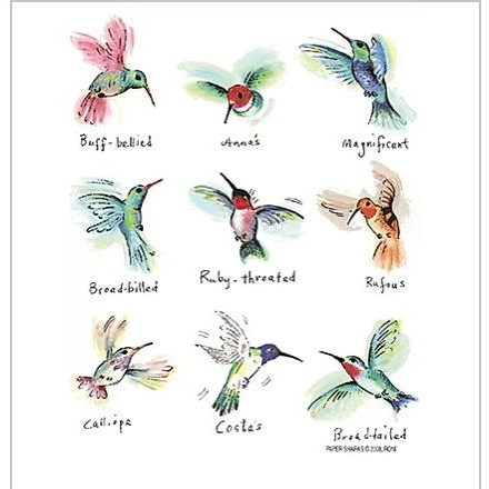 Hummingbird Towel - Zinnias Gift Boutique