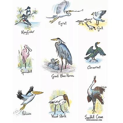 Shore Birds Towel - Zinnias Gift Boutique