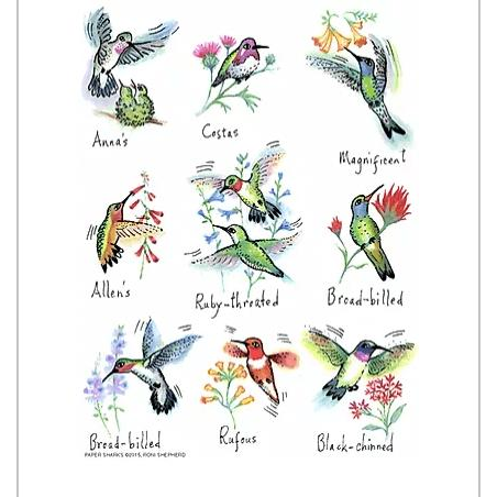 Hummingbirds 2 Towel - Zinnias Gift Boutique