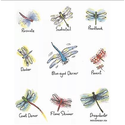 Dragonflys Towel - Zinnias Gift Boutique