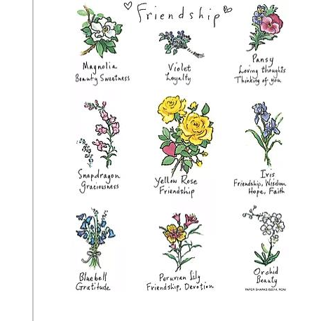 Friendship Towel - Zinnias Gift Boutique