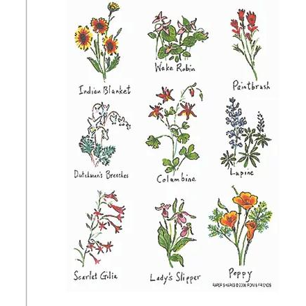 Flowers 2 - Zinnias Gift Boutique