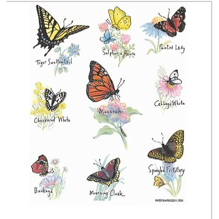 Butterflys - Zinnias Gift Boutique