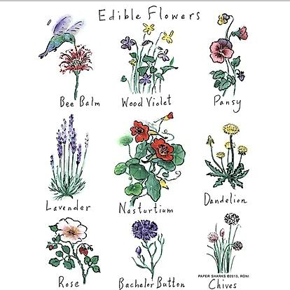 Edible Flowers - Zinnias Gift Boutique