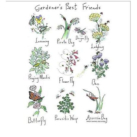 Gardener's Best Friends - Zinnias Gift Boutique