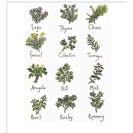 Herbs 2 - Zinnias Gift Boutique