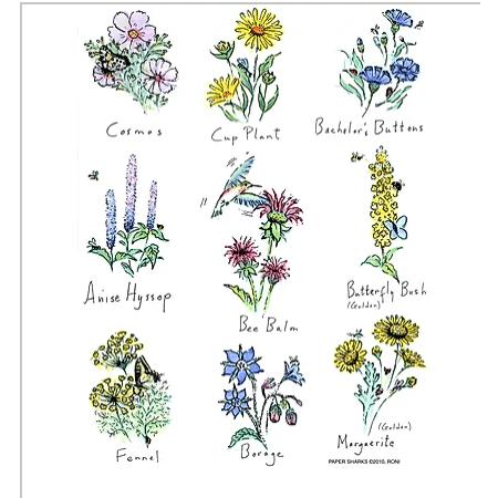 Flowers 4 - Zinnias Gift Boutique