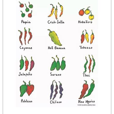 Chilies - Zinnias Gift Boutique