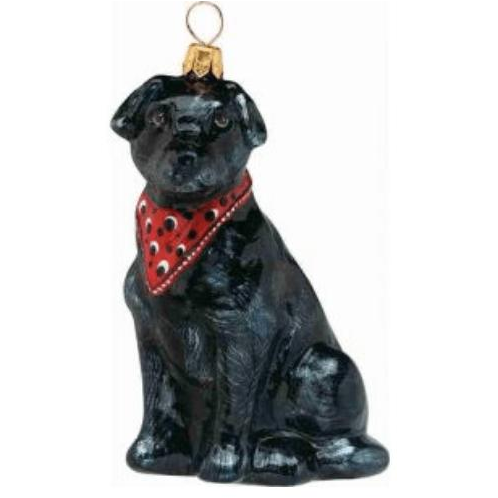 Lab Black With Bandana - Zinnias Gift Boutique