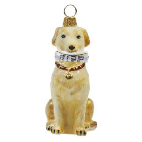 Yellow Lab with Newspaper - Zinnias Gift Boutique