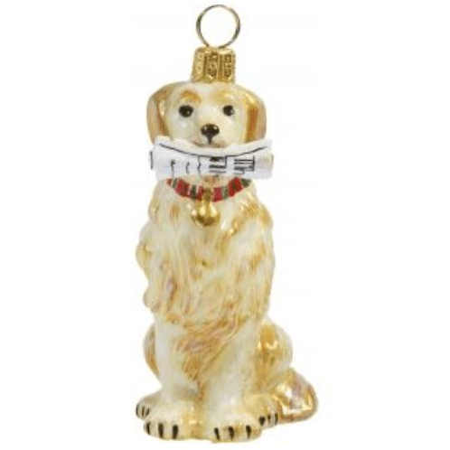Golden Retriever with Newspaper - Zinnias Gift Boutique