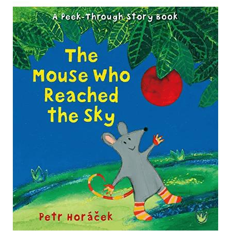 The Mouse Who Reached The Sky - Zinnias Gift Boutique