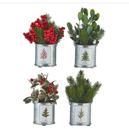 7.5&quot; Holiday Botanical  in tin can - Zinnias Gift Boutique
