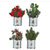 7.5" Holiday Botanical  in tin can - Zinnias Gift Boutique