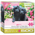 Black Labs in Pink Box - Zinnias Gift Boutique