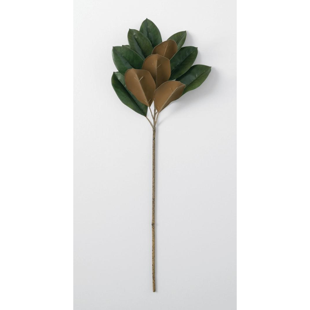 Magnolia Stem - Zinnias Gift Boutique