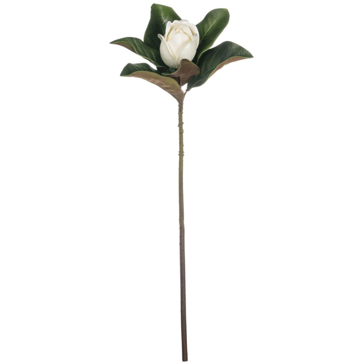 Magnolia Bud Stem - Zinnias Gift Boutique
