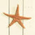 Kelso Wood Starfish - Red - Zinnias Gift Boutique