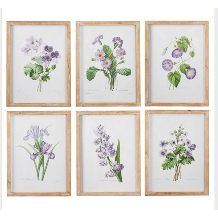 Floral Framed Print Set of 6 - Zinnias Gift Boutique
