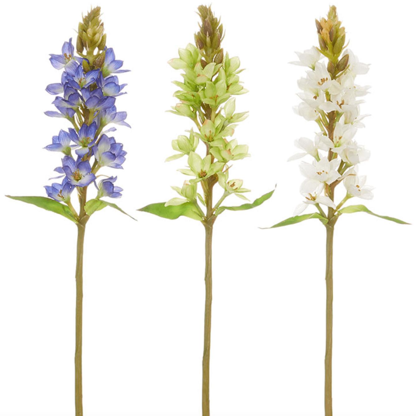 Lupin Stem - Zinnias Gift Boutique