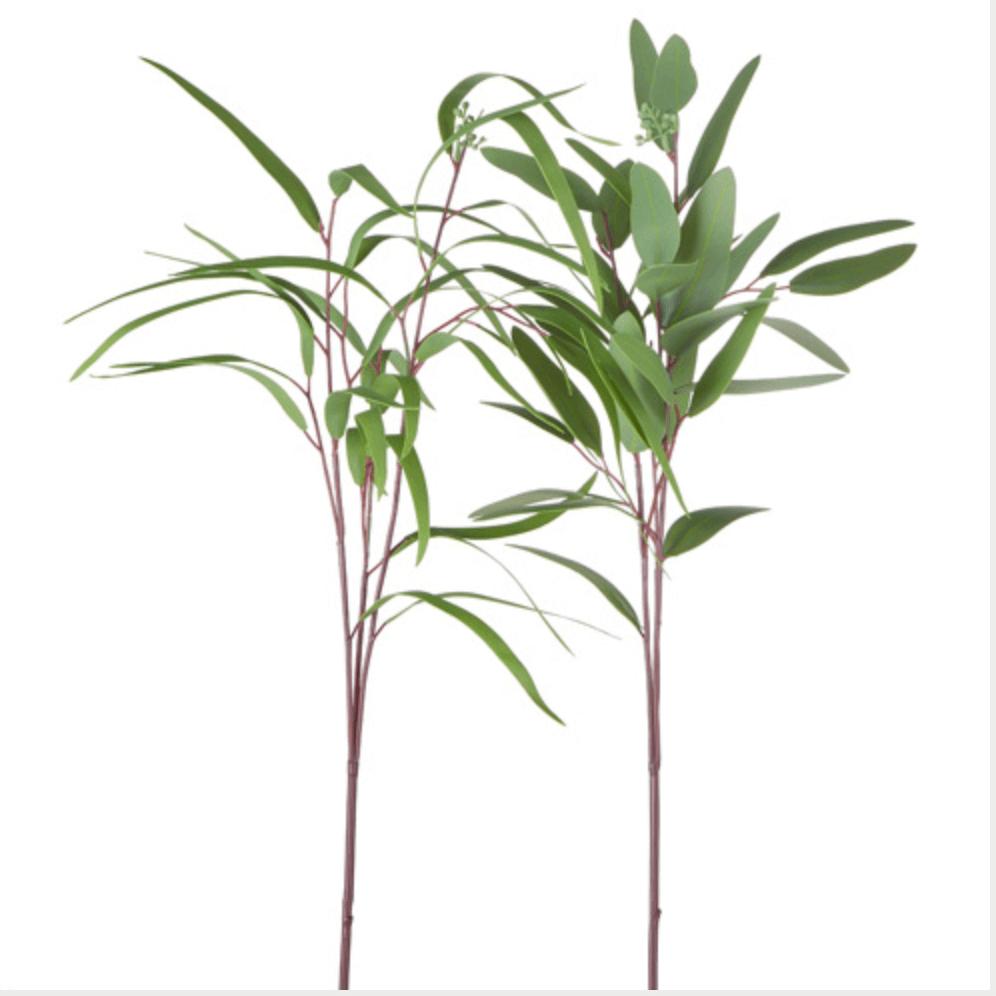 Eucalyptus Spray Art. Floral - Zinnias Gift Boutique