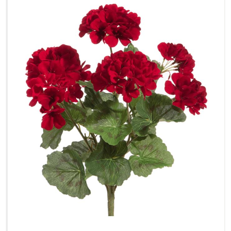 18&quot; Red Geranium Bush - Zinnias Gift Boutique