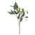 19" Eucalyptus Pick - Zinnias Gift Boutique