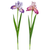 Real touch purple Iris Stem - Zinnias Gift Boutique