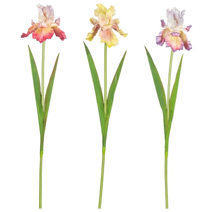 Real Touch Iris Stem - Zinnias Gift Boutique