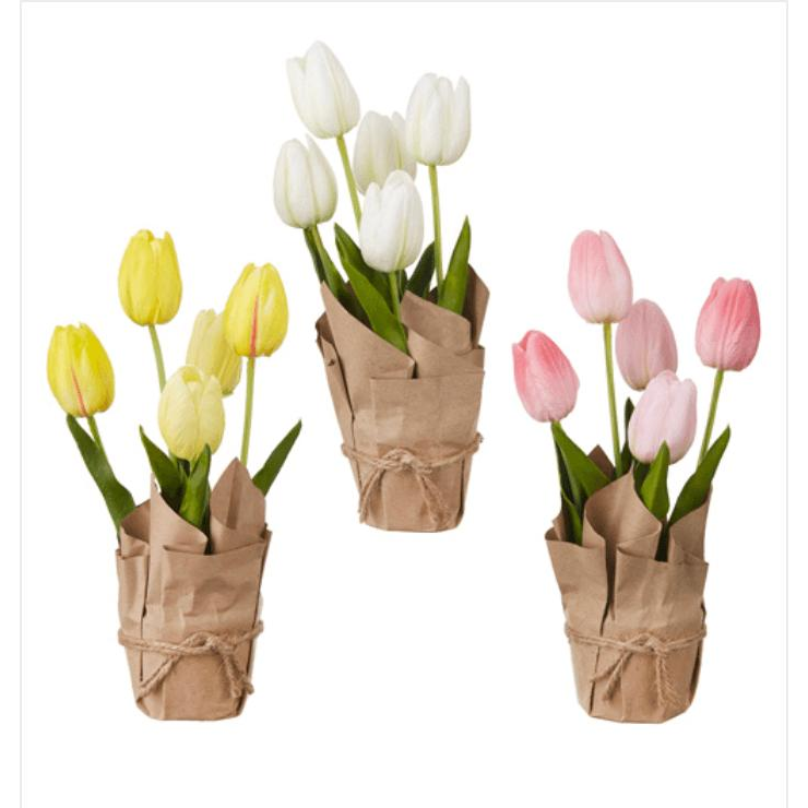 Real Touch Potted Tulips Wrapped in Paper - Zinnias Gift Boutique