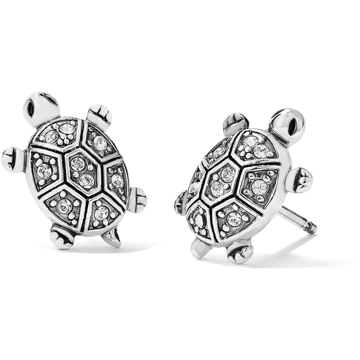 Fortune Turtles Mini Post Earrings - Zinnias Gift Boutique
