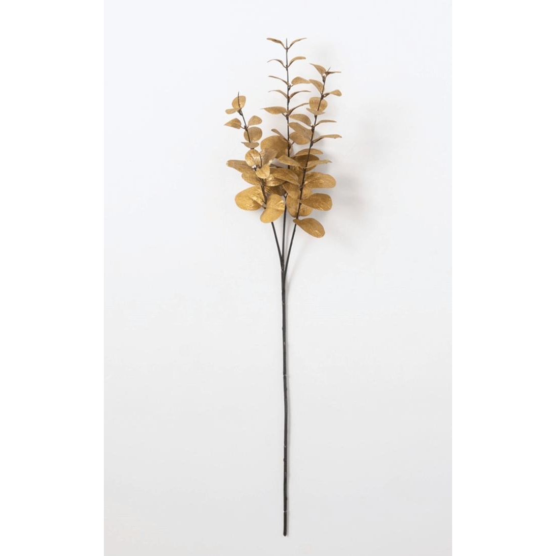 Eucalyptus Stem - Zinnias Gift Boutique