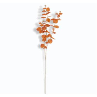 35.5 Inch Orange Eucalyptus Spray - Zinnias Gift Boutique