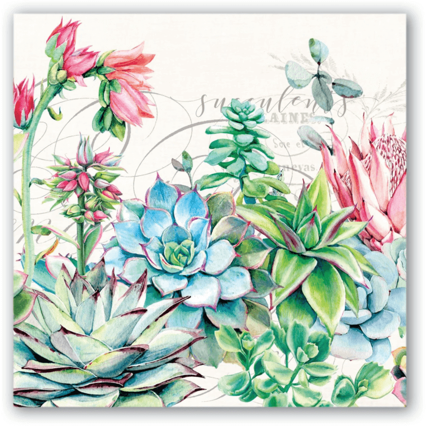Pink Cactus Napkins - Zinnias Gift Boutique