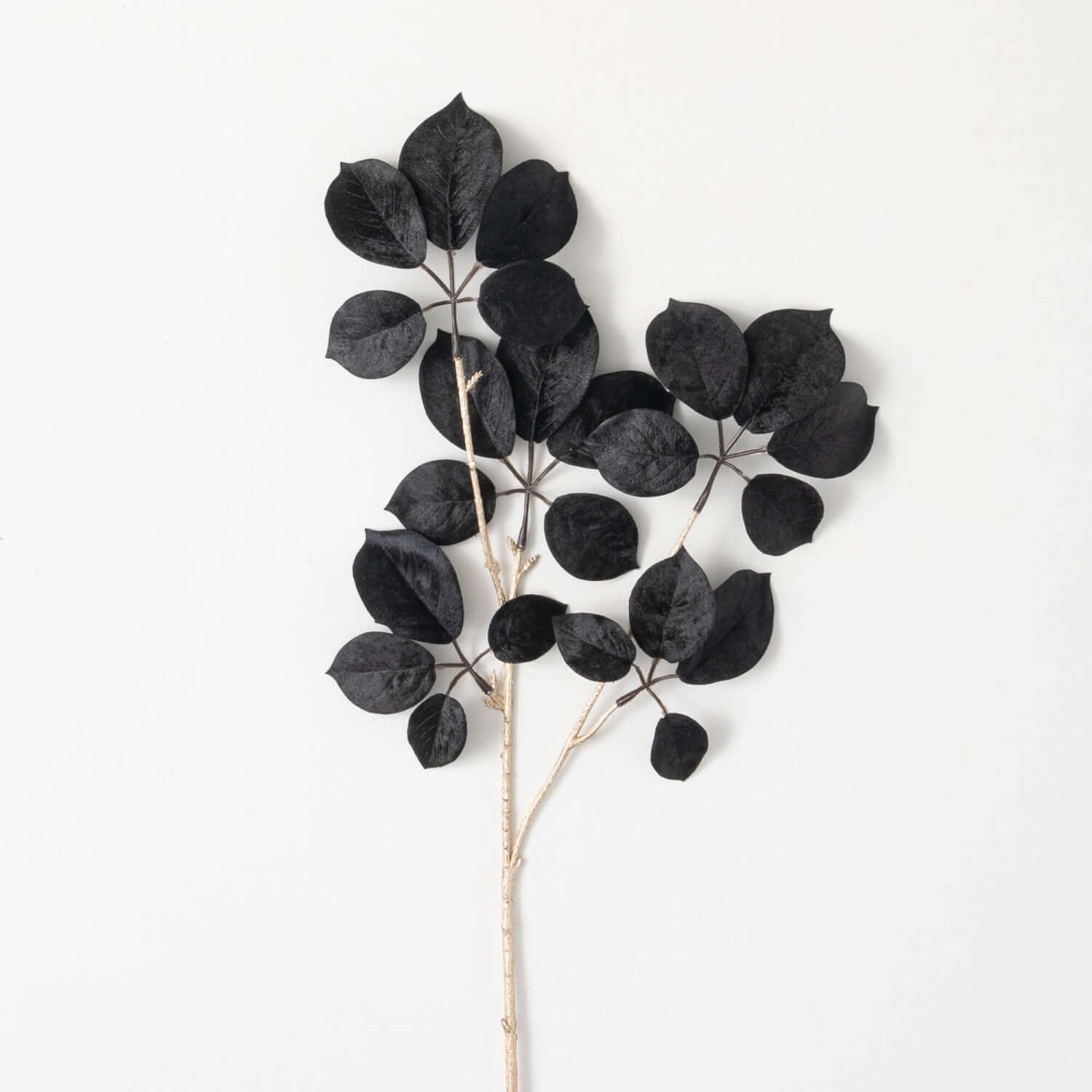 Schefflera Spray - Zinnias Gift Boutique